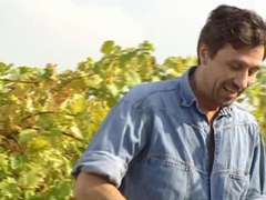 In den arsch, Arsch, Tussi, Spermaladung, Gruppe