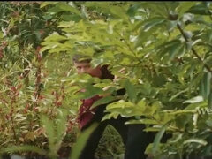 茶髪の, Hd, インド人