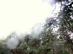 Wet Public Sex In The Woods - Scene In The Rain By Cherry Grace