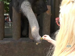 素人, お尻, ブロンド, フェラチオ, 足コキ, ハメ撮り, オマンコ, オッパイの