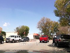 お尻, 美人, フェラチオ, 茶髪の, 巨乳な, チン, 顔面騎乗, なめる