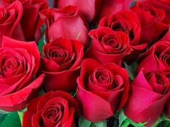 Tía, Culo grande, Mamada, Pareja, Indio, Maduro, Mamá, Tetas naturales