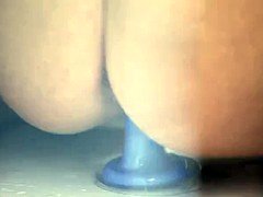 Beautiful porn with blonde and redhead lesbian