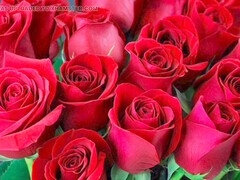 Cul à la bouche, Tante, Sucer une bite, Indienne, Mature, Maman, Belle mère, Épouse