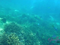 Elena sucks you off and plays outside before you go snorkel.