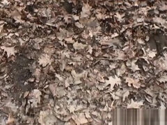 美人, 巨乳な, イマラチオ, ハードコア, Hd, 天然, 乳首, トイレ