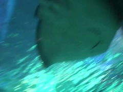 Bikini, Blonde, Petite amie, Lunettes, Pov, Chatte, Maigrichonne, Nénés