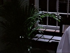 Tussi, Blasen, Schwanz, Hardcore, Geld, Pornostars, Ablutschen, Vintage