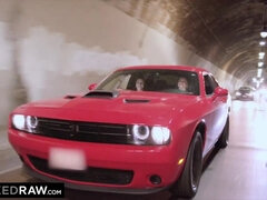 黒人, フェラチオ, 茶髪の, 気狂い, チン, 女 人男 人, なめる, オマンコ