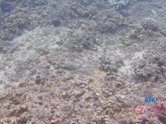 Amateur, Playa, Morena, Semen en la boca, Novia, Aceite, Orgasmo, Público