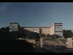 毛深い, 淫乱熟女, ヴィンテージ