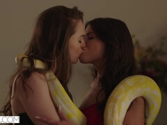 Черные, Минет, Брюнетки, Кончили внутрь, Член, Киски, Наездница, Втроем