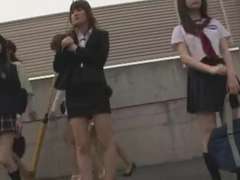 バス, 日本人