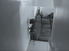 Leie, Grosser schwanz, Schwarz, Schwarz, Jungendliche (18+)