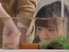 アジア人, 茶髪の, グループ, Hd, 小柄, ティーン