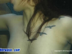 Gros seins, Sucer une bite, Brunette brune, Hard, Chatte, Suçant, Nénés, Sous marin