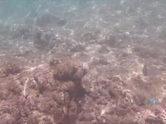 Любители, Бикини, Оргазм, Крошечные, От первого лица, Молоденькие, Сиськи, Влажная