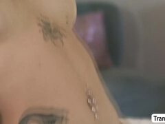 Anaal, Grote kont, Grote mammen, Diep in de keel, Ladyboy, Anaal likken, Shemale