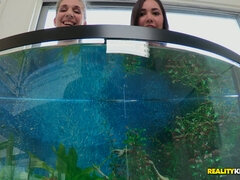 Grosse titten, Vollbusig, Natürlichen titten, Nass