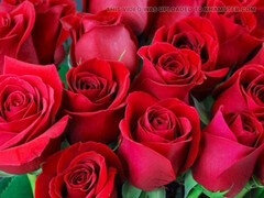 Leie, Arsch, Grosser arsch, Schwul, Handjob