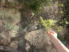 Amateur, Éjaculer dans la bouche, Branlette thaïlandaise, Petite amie, Orgasme, De plein air, Public, Chatte