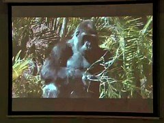 デカパイ, セレブ