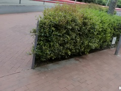 Amateur, Cul, Sucer une bite, Queue, En levrette, Public, Cheveux courts, Nénés