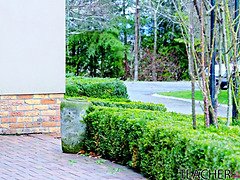 Брюнетки, Сперма во рту, Хд, Лизание, Белье, Милф, Русские, Бритые