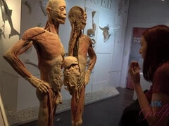 フェティッシュ, 足コキ, Hd, ハメ撮り, 赤毛