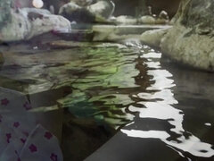 お尻, デカ尻, デカパイ, 巨乳な, エロティック, オナニー, 淫乱熟女, オマンコ