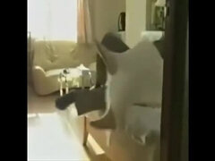 素人, アジア人, 手コキする, ハードコア, 旦那, 日本人, 熟年, 妻