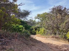 Exploring An Abandoned Nude Beach! Risky Solo Adventure