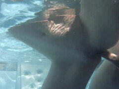 Leie, Braunhaarige, Reif, Mutti, Im freien, Pool, Titten, Unter wasser