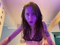 Britannique, Femelle