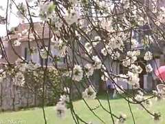 Классика, Ретро, Винтаж