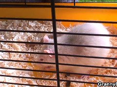 Минет, Парочка, Глубокая глотка, Дедушка, Бабушки, Зрелые, Мамочка, Молоденькие