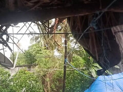 Asiático, Belleza, Mamada, Novia, Hd, Indio, Pezones, Maestra