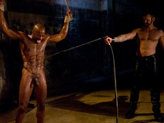 Sadomasochismus, Schwul, Rau