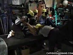 Schwarz, Zickenkampf, Schwarz, Gruppensex, Lesbisch, Lecken