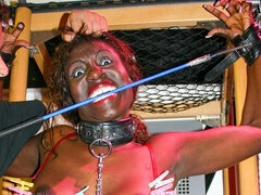 Gros cul, Grosse bite, Gros seins, Sucer une bite, Noir ébène, Branlette thaïlandaise, Interracial, Léchez