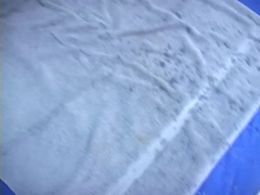 Дилдо