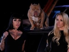 Lécher le cul, Gros seins, Brunette brune, Voiture, Doigter, Chatte, Dénudage, Adolescente