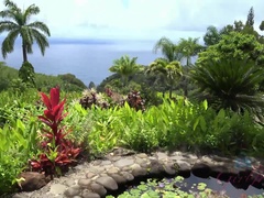 Любители, Пляж, Бикини, Минет, Подружка, Очки, Латиноамериканки, Киски