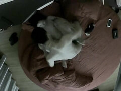 Chinese College Guy Bangs His Girlfriend on Cam