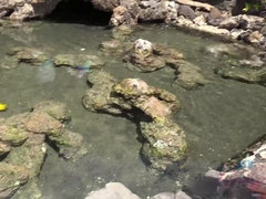 Enthousiasteling, Strand, Zwart, Vriendin, Gezichtspunt, Kut duiken, Geschoren, Roken