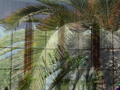 Chica, Tetona, Erótico, Latina, Masturbación, Solo, Tetas, Mojado