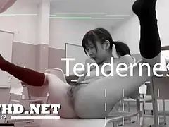 Vixen Seduction: Heated Wives, Shower Blow Jobs, and Vibrator Play