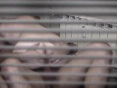 Leie, In den arsch, Schwanz, Selbstgemacht, Hotel, Reif, Milf, Titten
