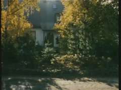 ドイツ人, グループ, 毛深い, ヴィンテージ