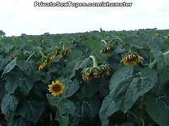 Real passion of teenage couple in the field of sunflowers